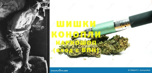 твердый Аркадак