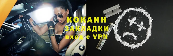 твердый Аркадак
