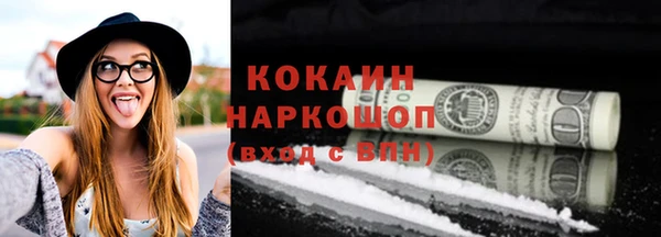 стаф Арсеньев