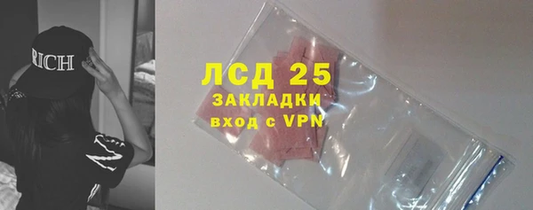 твердый Аркадак