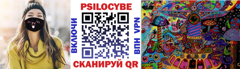 Псилоцибиновые грибы GOLDEN TEACHER shop наркотические препараты Карачаевск